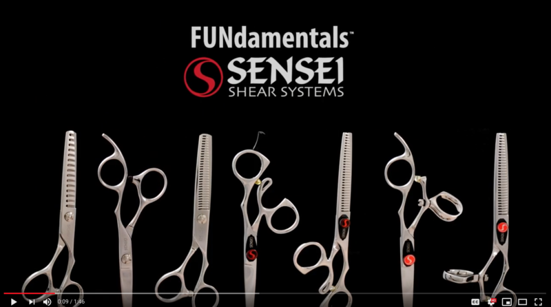 CLICK TO WATCH VIDEO