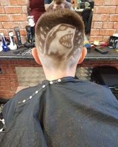 Daddy Shark Du du du du du du