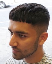 Persian prince Textured 0.5 hight face Cesar crop.